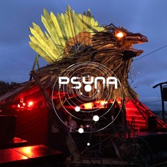 Psyna Festival (12.07.2024)