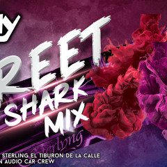 STREET SHARK BY DJ BONNY