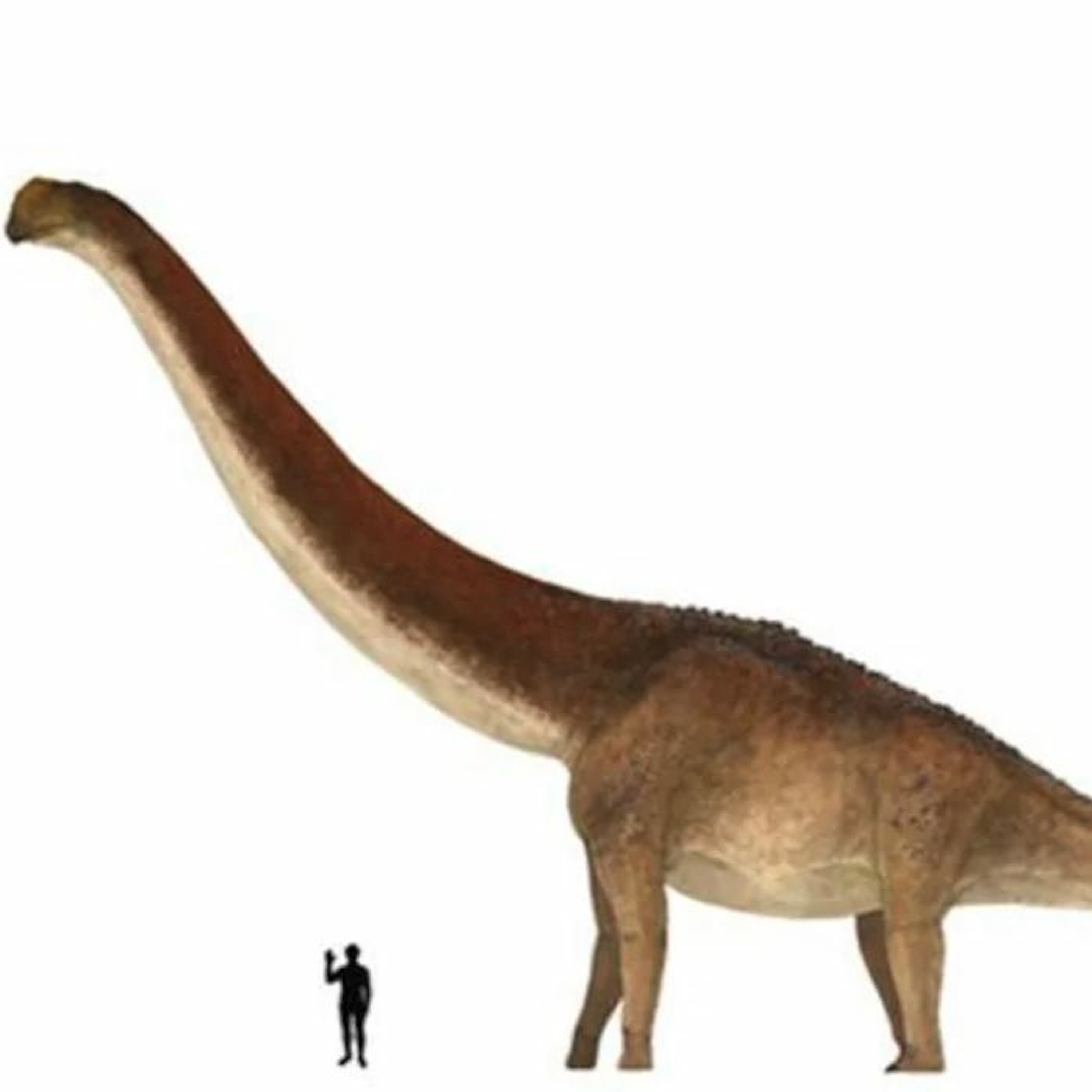 Astronomie - En route vers les etoiles