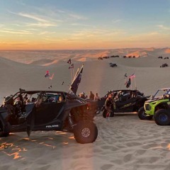 Take Em To The House