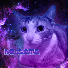 mi gata - speed up (Remix)