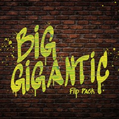 BIG GIGANTIC - FLIP PACK