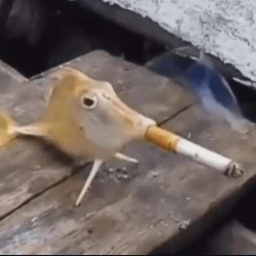 ろくのろくのろくのろくのろくの