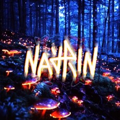 Glowing Mushrooms.EXL [M].