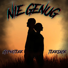 Nie Genug feat. hypnoTekk