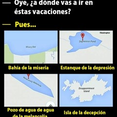 Todos son unos idiotas