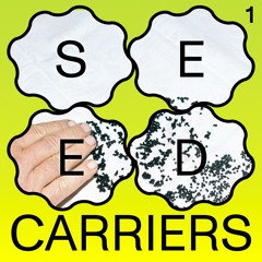 (1/3) the potential of a seed