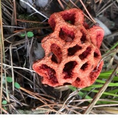 It's Pasttimes Like This