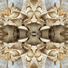 Mirrors