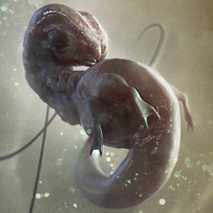 Species Reassignment  (BONUS ambient/drone mix-tape)