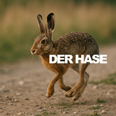 DER HASE