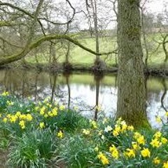 I Wandered Lonely as a Cloud ('Daffodils') by William Wordsworth