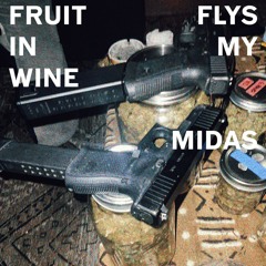 FRUIT FLYS IN MY WINE ( YouTube banned music video )