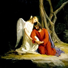 The Most Holy Rosary