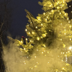 CODE10 – OdinVopros