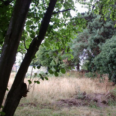 Serato Recording 244