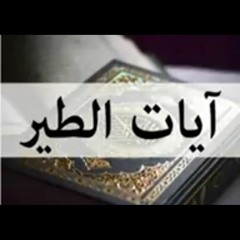 آيات الطير (رقية الجن الطيار) الشيخ خالد الحبشي