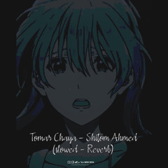 Tomar Chaya - Shitom Ahmed (Slowed - Reverb)