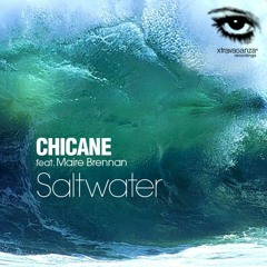 Chicane - Saltwater (RT Private REMIX)