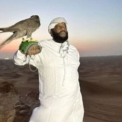 SayDada - FALALALA! (Oddwin Rap Contest 2024)