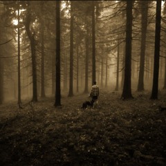 lost in forest - (prod. - PrinzLux)
