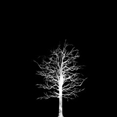 ALONE