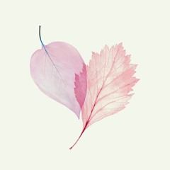 Music Tracks Songs Playlists ged まふまふ On Soundcloud
