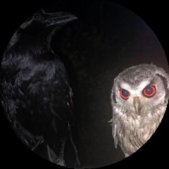 Burn This Place to the Ground