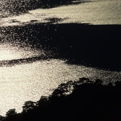 Hidden (Memorandum IX, cembalo)