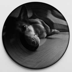 Elëmental - Programma