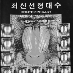 B-Free (비프리), Hukky Shibaseki  - INDO [pivotal man REMIX]