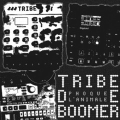 TRIBE DE BOOMER ft. ALXTNL