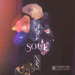 Soul (feat. Shaquille)