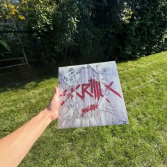 Skrillex - Kyoto (Michael A Edit)