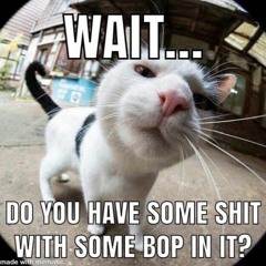 d(-_-)b