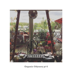 Organic Odyssey Pt. 4