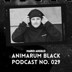 ABP No. 029 - Mario Angelo