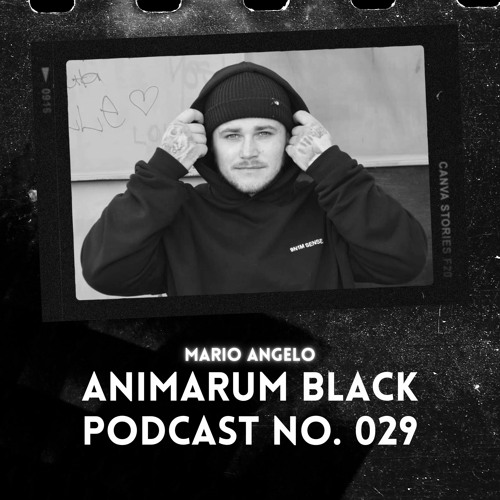 ABP No. 029 - Mario Angelo
