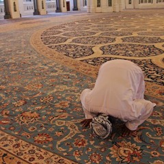 وَرَبُّكَ يَعْلَمُ مَا تُكِنُّ صُدُورُهُمْ وَمَا يُعْلِنُونَ | المنشاوي