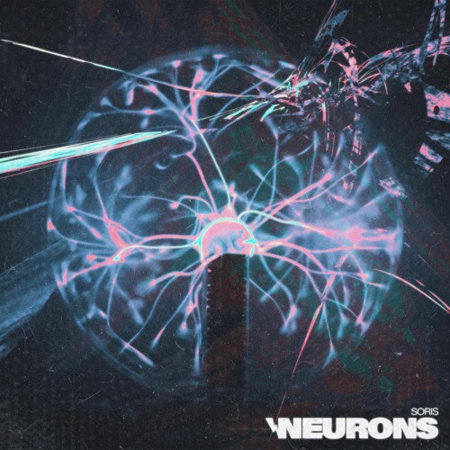 Neurons