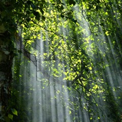 better than you'd hoped