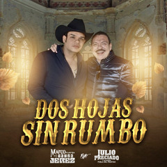 DOS HOJAS SIN RUMBO (feat. Julio Preciado y Su Banda Perla del Pacifico)