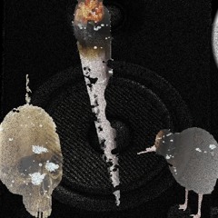 głośnik ft. mlodydenat