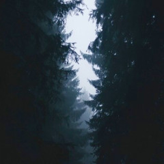 The Passage (video in desc)