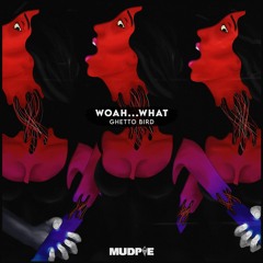 [ OUT NOW! ] Ghetto Bird - Woah...what