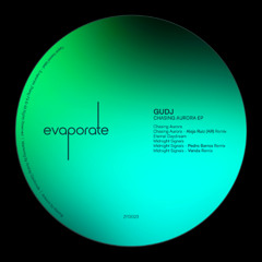 PREMIERE: Gudj - Midnight Signals (Pedro Barros Remix) [ZFD023]
