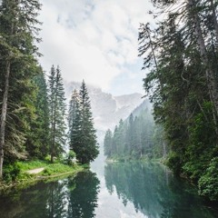 سورة الرحمن كاملة - الشيخ أحمد بن طالب - فجريّة