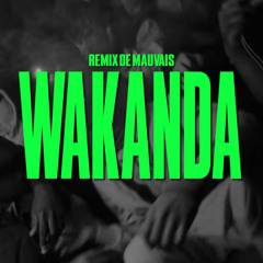 Sosa La M x Alimzo - Wakanda | Remix de Mauvais