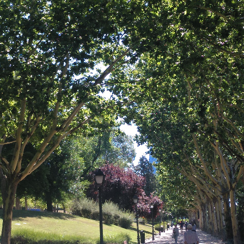 compo20220329 (Senderos)