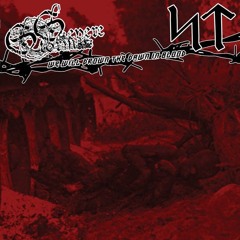 Severe Storm / Slavecrushing Tyrant : We Will Drown The Dawn in Blood (promo tracks)